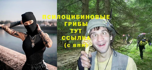 ГАЛЛЮЦИНОГЕННЫЕ ГРИБЫ Магадан