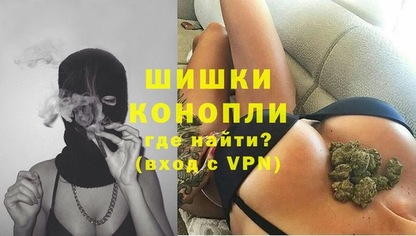 дмт Магас