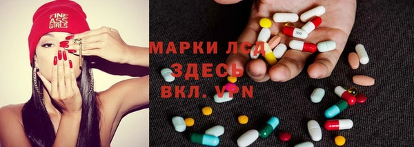 дмт Магас