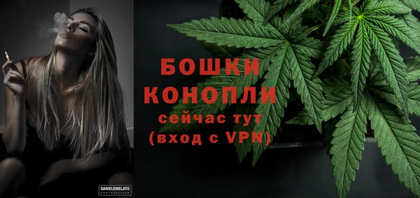 дмт Магас