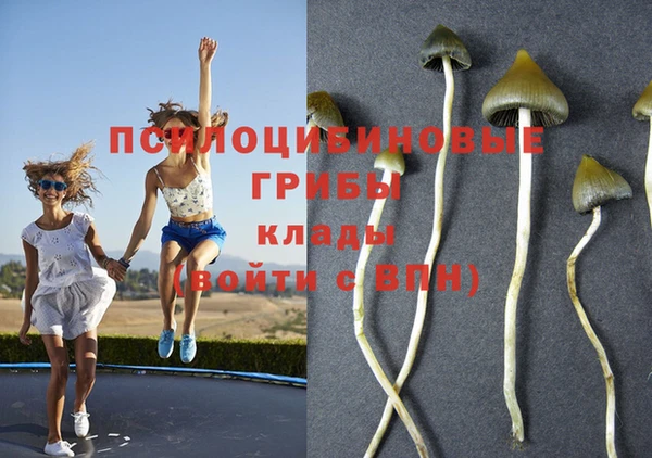 прущая мука Майский