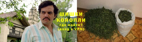 дмт Магас