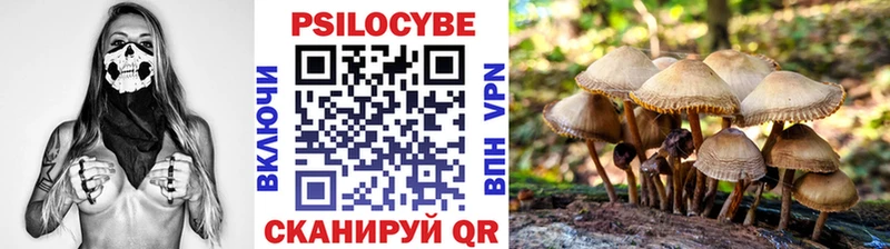 Псилоцибиновые грибы мухоморы  Купить закладки  Петров Вал 